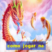 como jogar na seninha online